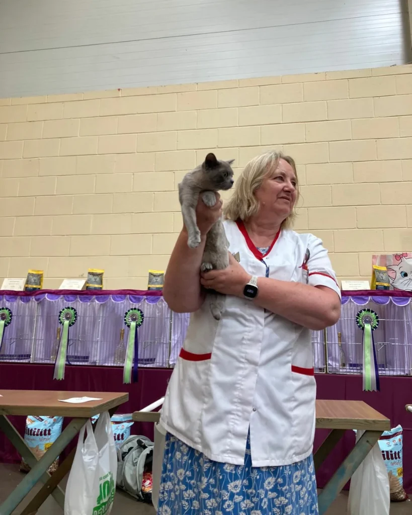 Nurse carrying up the cat